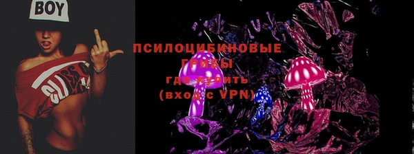 ешки Алзамай