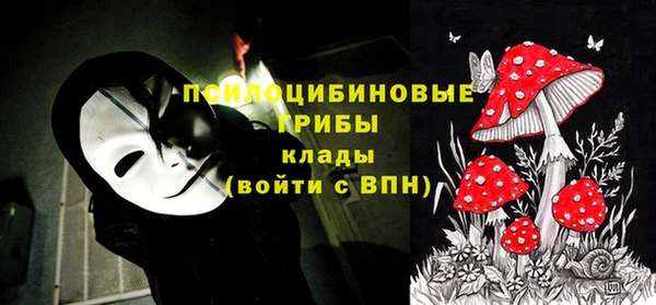 амф Сафоново